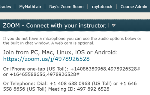 Ray's Zoom Room